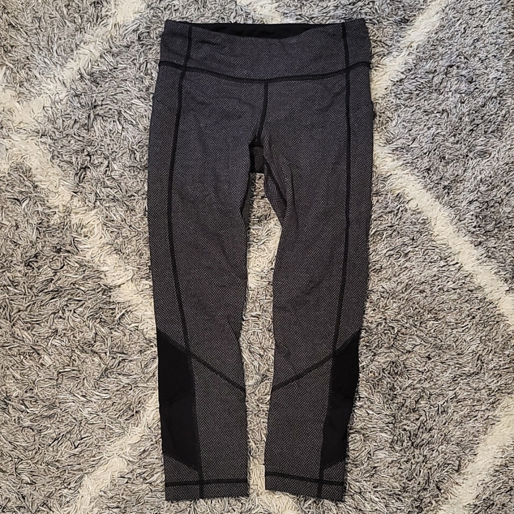 Pace Rival Crop